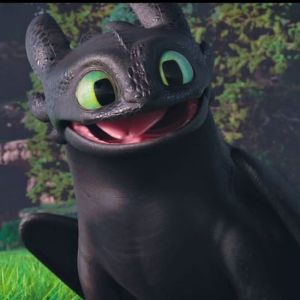 A picture of the dragon, Toothless, from the animated movie How to Train Your Dragon.